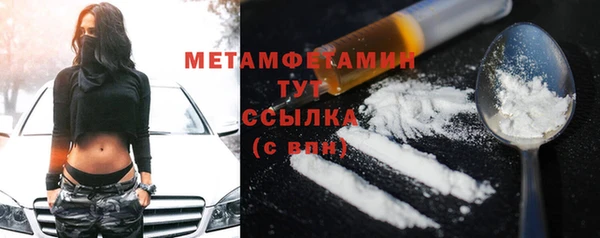стаф Касимов