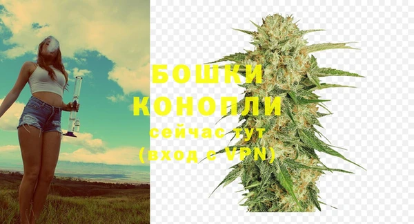 твердый Карпинск