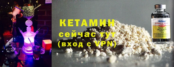 стаф Касимов