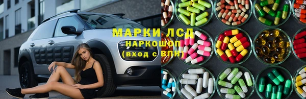 стаф Касимов