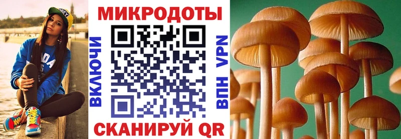 Псилоцибиновые грибы прущие грибы  Михайловка 